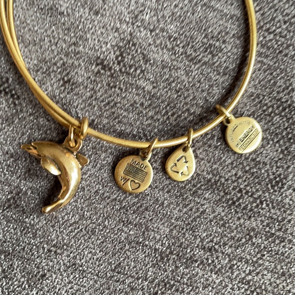 Alex & Ani bracelet - Picture 2 of 3